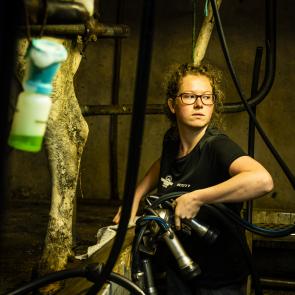 Goudelin chronique d'un village breton Bernard le Bars