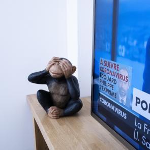 Crise sanitaire à Rouen, archives Sageot