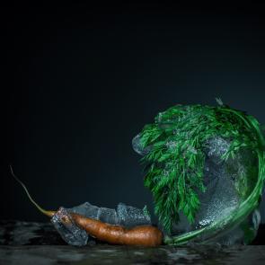 Still Life Joanna Tarlet Gauteur