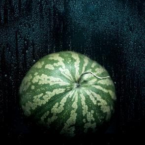 Still Life Joanna Tarlet Gauteur