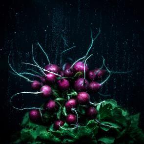 Still Life Joanna Tarlet Gauteur