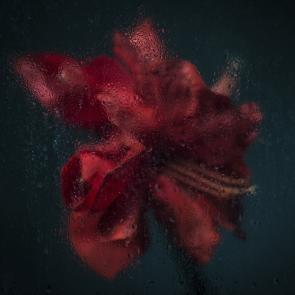 Rainy Day Joanna Tarlet Gauteur