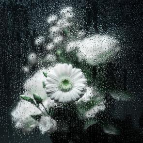 Rainy Day Joanna Tarlet Gauteur