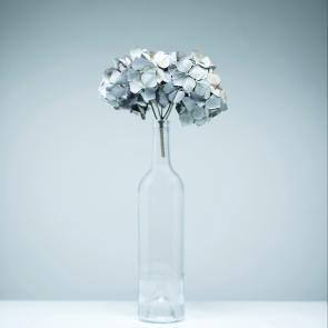 Still Life Joanna Tarlet Gauteur