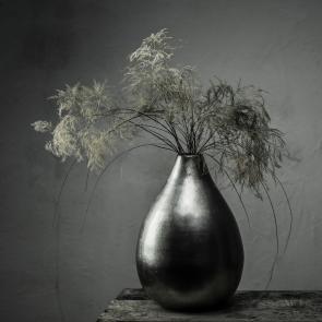 Still Life Joanna Tarlet Gauteur