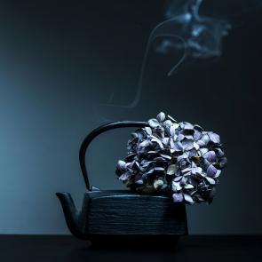 Still Life Joanna Tarlet Gauteur