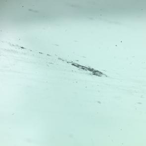 L'accident Laurent Monlaü