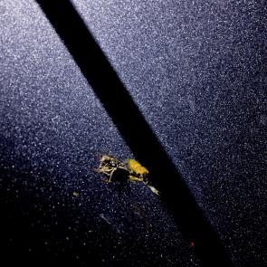 L'accident Laurent Monlaü