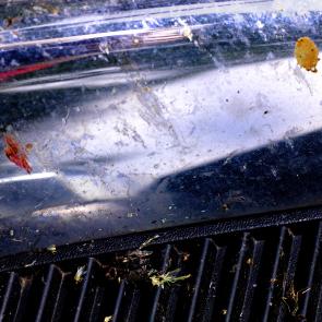 L'accident Laurent Monlaü