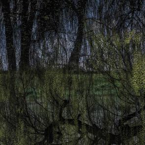 Promontoires du silence Didier Goupy