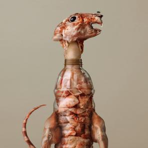 Embouteillages Ludovic Alussi