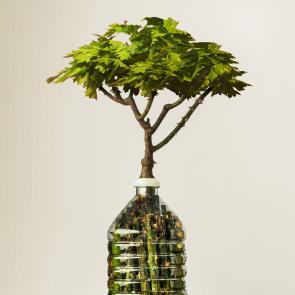 Embouteillages Ludovic Alussi