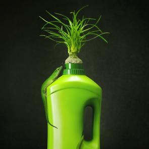 Embouteillages Ludovic Alussi