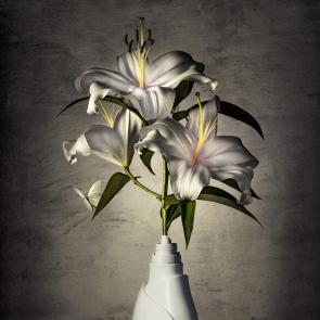 Embouteillages Ludovic Alussi