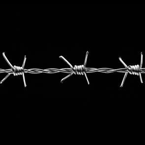 Entre les barbelés Ludovic Alussi