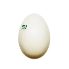 Malbouffe Ludovic Alussi