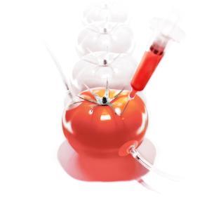 Malbouffe Ludovic Alussi