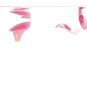 Matières Ludocic Alussi