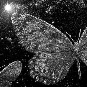 Matières Ludocic Alussi