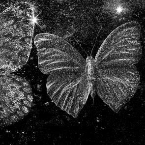 Matières Ludocic Alussi