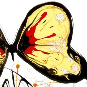 Matières Ludocic Alussi