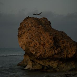 Yémen 2024 2006 Xavier Lambours