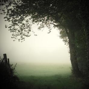 Promenons-nous dans le bois Patrick Bard