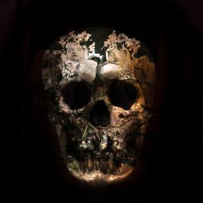 Calaveras Patrick Bard