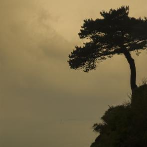 Après, la mer Thierry Borredon