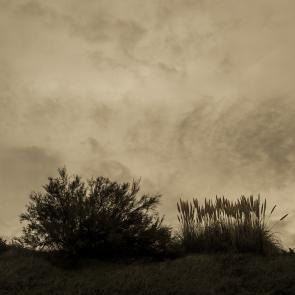 Après, la mer Thierry Borredon