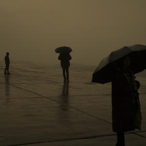Après, la mer Thierry Borredon