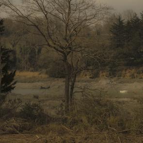 Après, la mer Thierry Borredon