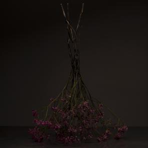 Still life Joanna Tarlet Gauteur