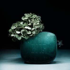 Still life Joanna Tarlet Gauteur