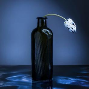 Dancing Tulips Joanna Tarlet Gauteur