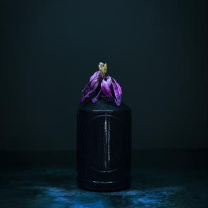 Dancing Tulips Joanna Tarlet Gauteur