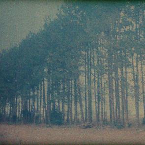 Les Doutes Arno Brignon