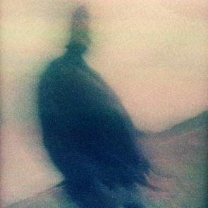 Les Doutes Arno Brignon