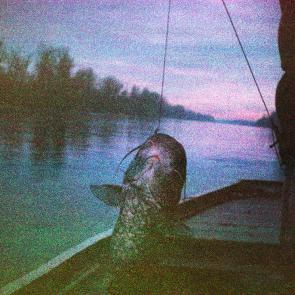 Les Doutes Arno Brignon