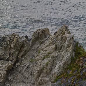 Insulaire, sur les traces de Saint-John Perse Sandrine Expilly