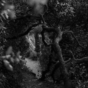 Insulaire, sur les traces de Saint-John Perse Sandrine Expilly