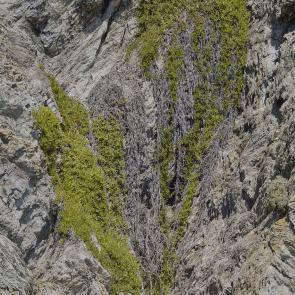 Insulaire, sur les traces de Saint-John Perse Sandrine Expilly