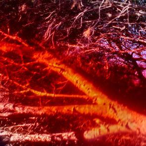 Insulaire, sur les traces de Saint-John Perse Sandrine Expilly