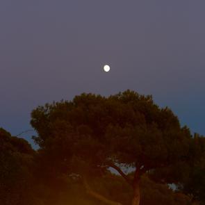 Insulaire, sur les traces de Saint-John Perse Sandrine Expilly
