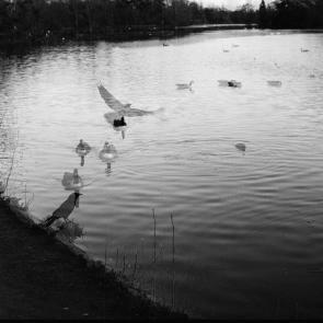 Fleurs et jardins Carole Bellaïche