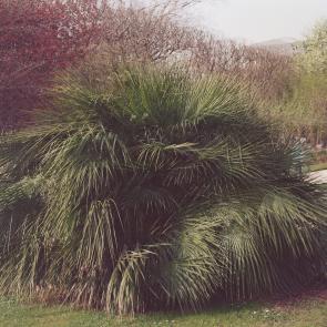 Fleurs et jardins Carole Bellaïche