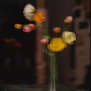 Fleurs et jardins Carole Bellaïche