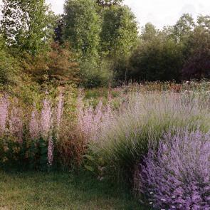 Fleurs et jardins Carole Bellaïche