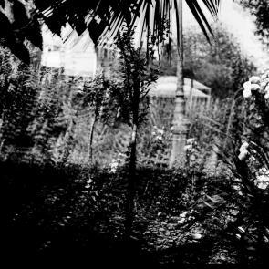 Fleurs et jardins Carole Bellaïche