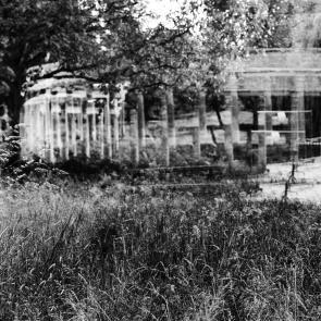 Fleurs et jardins Carole Bellaïche